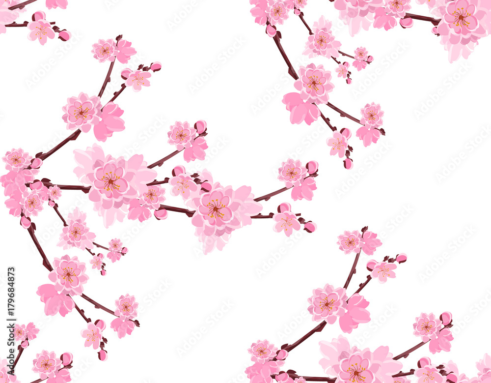 Sakura. Branch with gentle lush flowers and cherry buds. Seamless without a mesh and gradient. illustration Sakura. Branch with gentle lush flowers and cherry buds. Seamless without a mesh and gradient. illustration