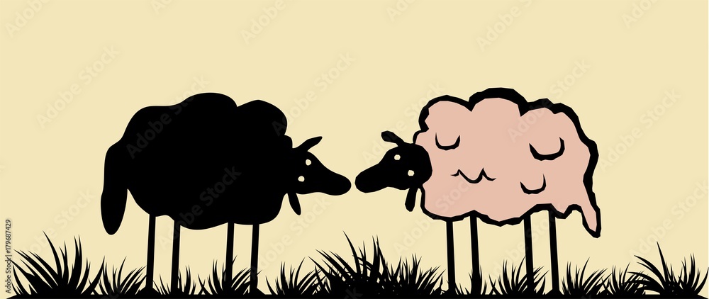 Obraz premium Funny sheeps