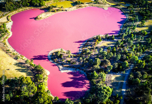Aerial view of a pink lake in Melbourne (Australia) on a sunny day during the golden hour. The ke colour is due to a natural algae. 