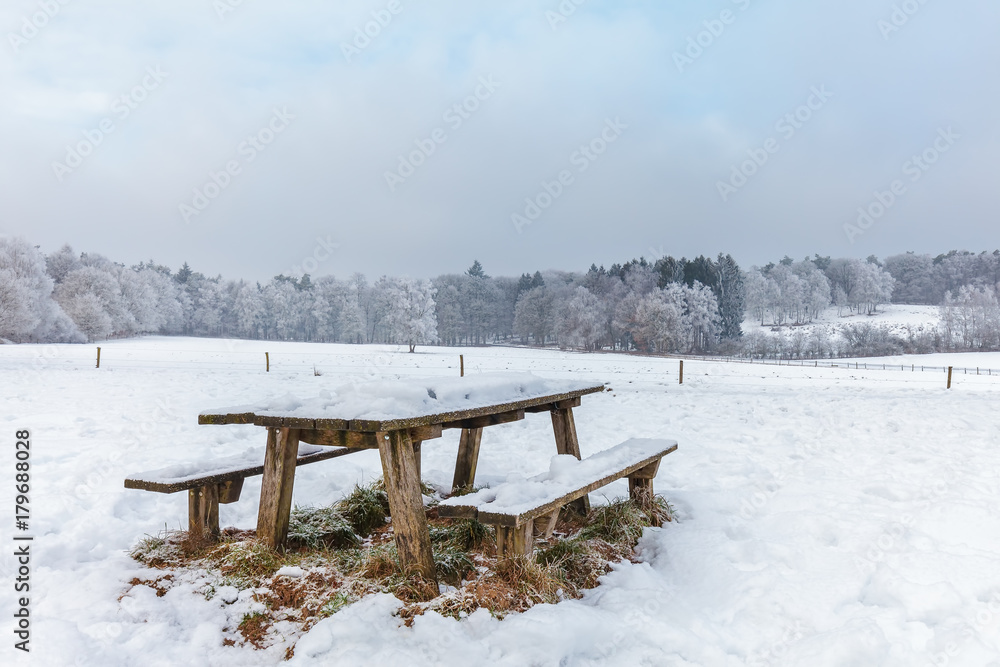 Winter scene with snow on the Dutch Posbank Winter scene with snow on the Dutch Posbank