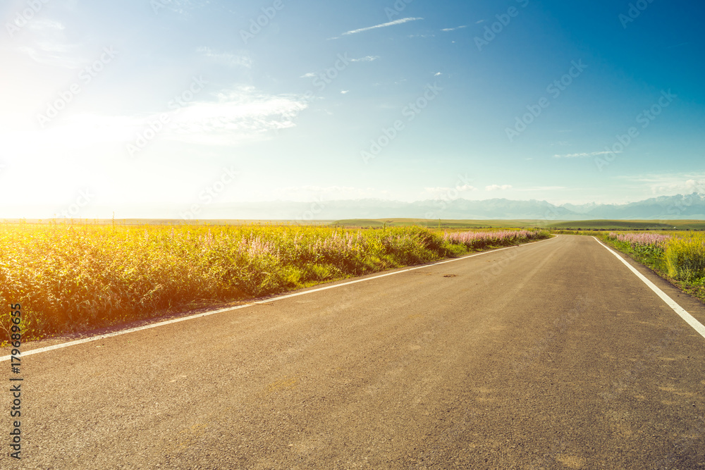 road in grassland