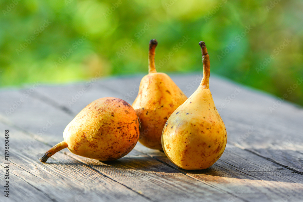 Organic pears on wooden table in garden