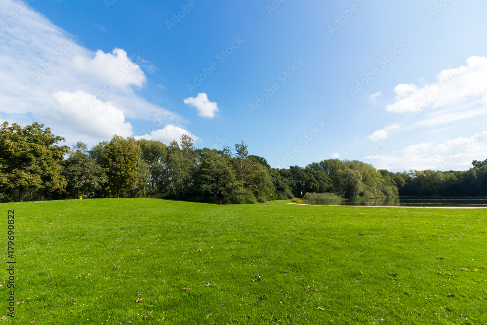 Fototapeta premium Liegewiese