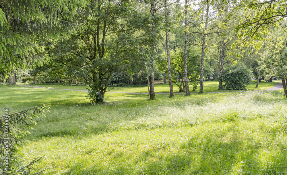 idyllic park scenery