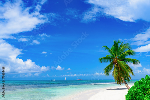 Fototapeta Naklejka Na Ścianę i Meble -  resort beach palm tree sea