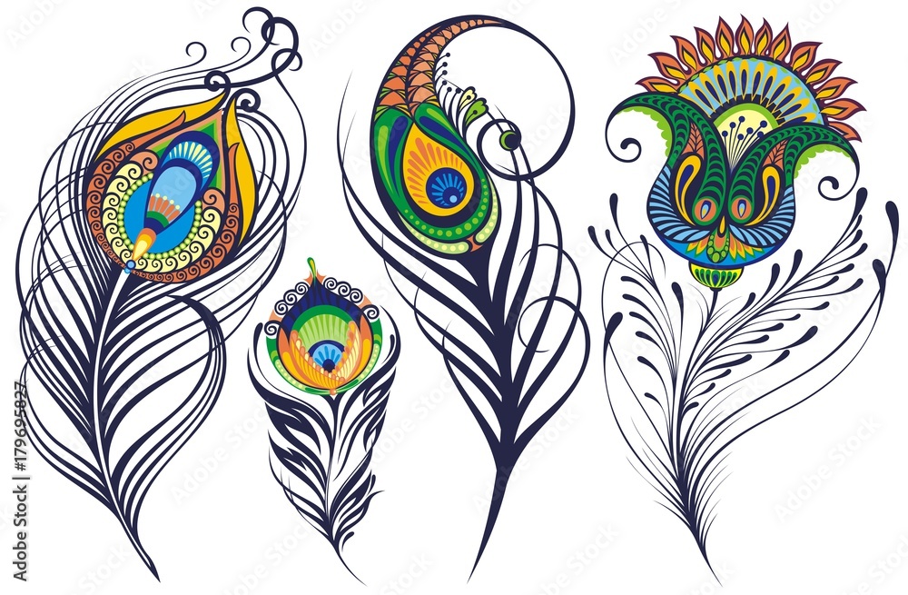 Realistic beautiful peacock feather Royalty Free Vector