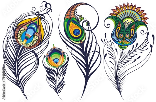 Beautiful peacock feathers on white background, Hand Drawn Sketch Vector illustration.