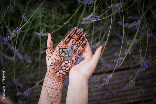 Hände mit Lavendel
