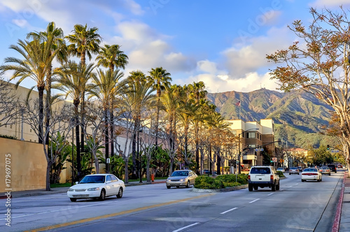 Palm tree lined avenue in Burbank, California. photo