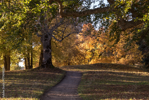 Autumn colors at Tyresö Castle