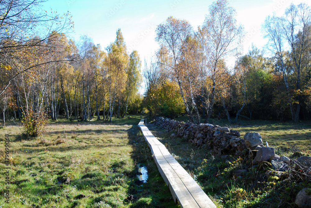 Wooden footbridge at fall season