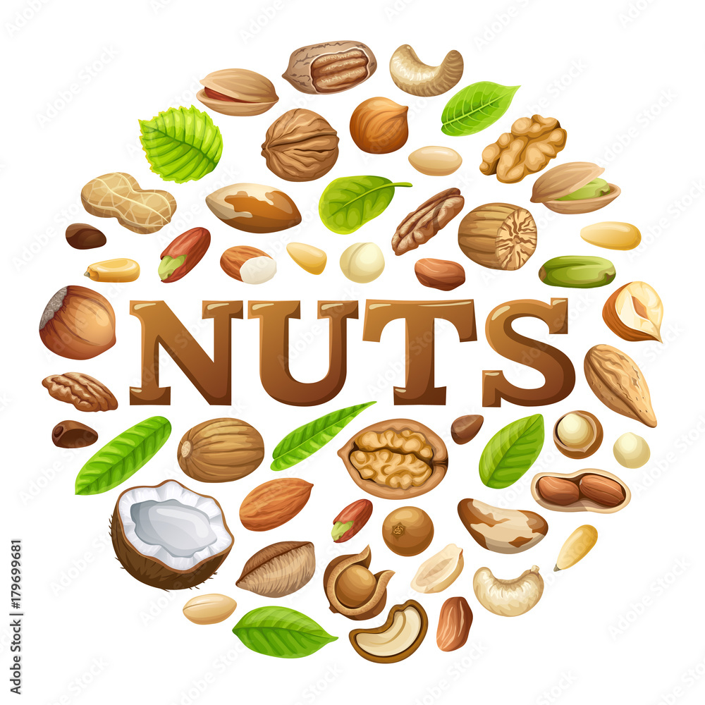 Poster of nuts food grains of cashew and brazilian nut, coconut and cedar, hazelnut and cashew, almonds and walnut, nutmeg and pecan, peanut and macadamia, pistachio. Poster of nuts food grains of cashew and brazilian nut, coconut and cedar, hazelnut and cashew, almonds and walnut, nutmeg and pecan, peanut and macadamia, pistachio.