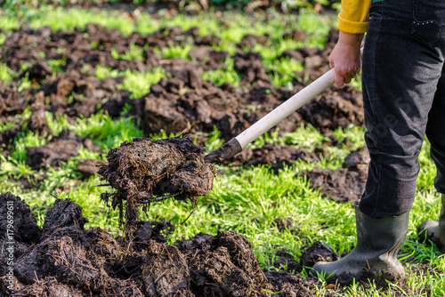Farmer working in the garden in spring. Organic fertilization of the grass field, preparing garden for digging and planting