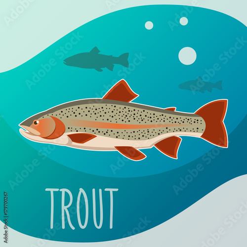 Trout fish banner