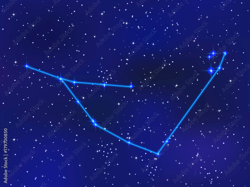 Capricorn Constellation Capricorn Constellation