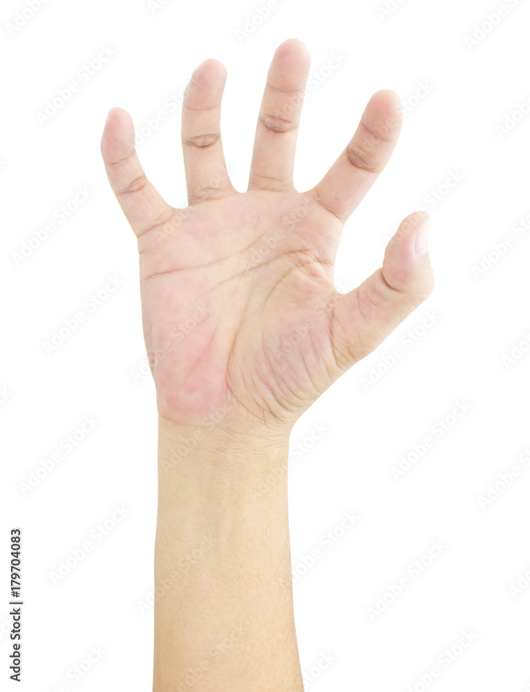 hand isolated on a white background hand isolated on a white background