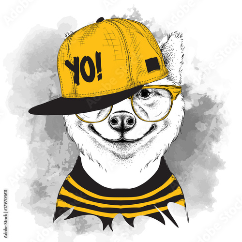 The poster of the sakita inu dog portrait in hip-hop hat. Vector illustration.