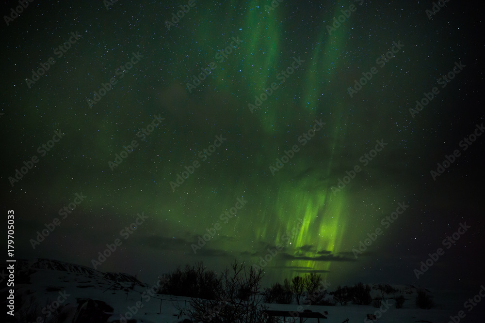 Polarlicht (Auroa borealis) über dem winterlichen Island