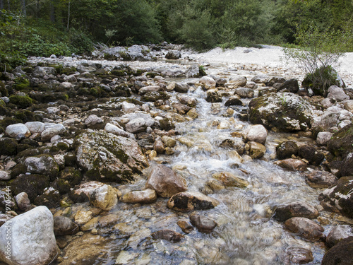 fiume, paesaggio naturalistico  nel bosco photo