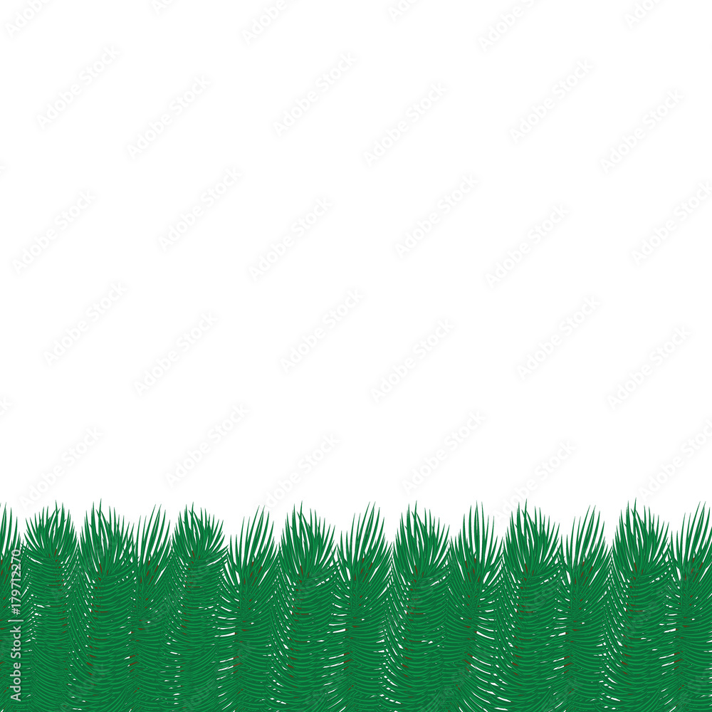 Branches of a Christmas tree. Christmas card Branches of a Christmas tree. Christmas card
