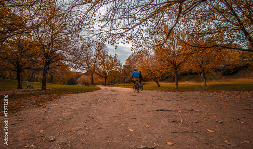 Autumn