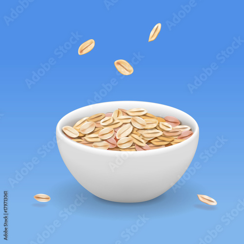 Oatmeal muesli in white bowl realistic illustration