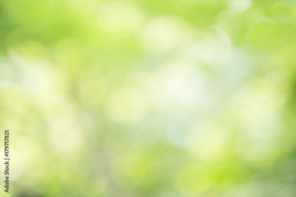 Fototapeta premium abstract blur green color for background,blurred and defocused effect spring concept for design