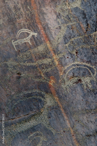 The Petroglyphs Of The Altai Mountains © Александр Катаржин