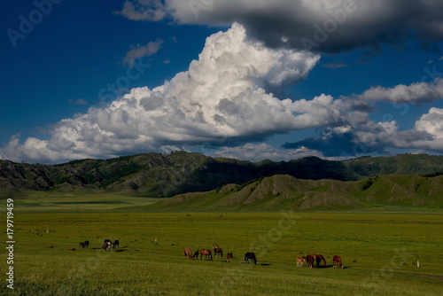 In the steppes of the Altai mountains