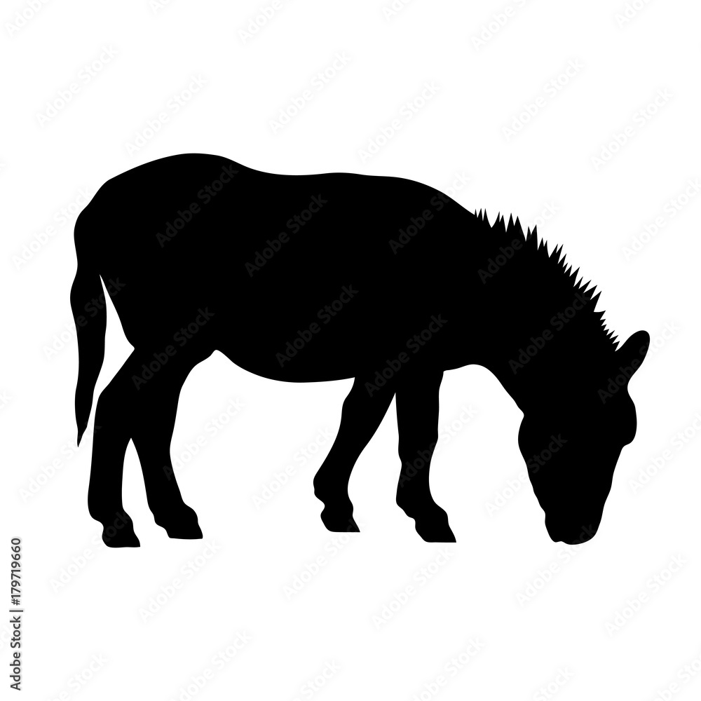 black silhouette of donkey on white background of vector illustration black silhouette of donkey on white background of vector illustration