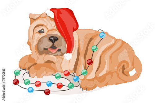 Funny and cute  cartoon  flat shar pei dog  puppy in Santa hat laying down surrounding by Christmas lights