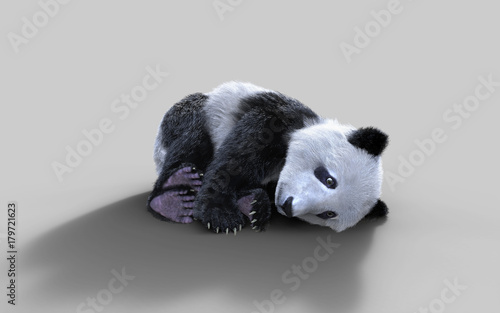 Fototapeta Naklejka Na Ścianę i Meble -  3d illustration panda isolated on white background with clipping path, a cute panda bear.