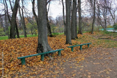 A green wooden bench in the park in the estate of Count Leo Tolstoy in Yasnaya Polyana.