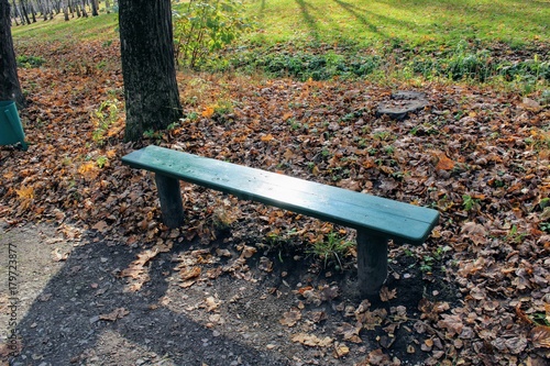 A green wooden bench in the park in the estate of Count Leo Tolstoy in Yasnaya Polyana.