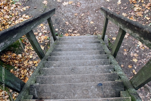 A wooden staircase in the park in the estate of Count Leo Tolstoy in Yasnaya Polyana.