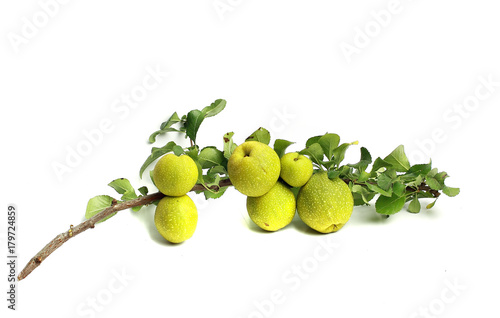 quince with a green leaf on white background