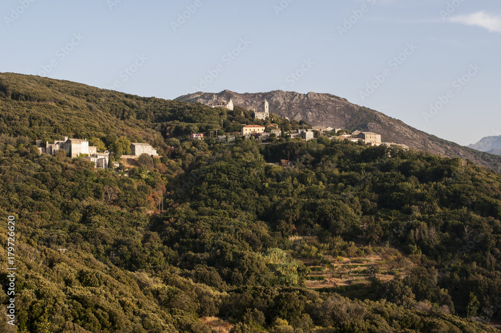 Corsica, 28/08/2017: la macchia mediterranea con vista sullo skyline di Orche, villaggio remoto dell'Alta Corsica sul versante occidentale del Capo Corso 
