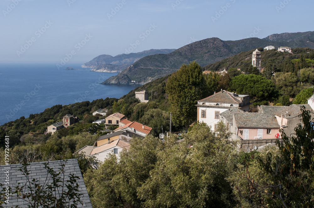 Corsica, 28/08/2017: la macchia mediterranea con vista sullo skyline di Pino, villaggio dell'Alta Corsica sul versante occidentale del Capo Corso 