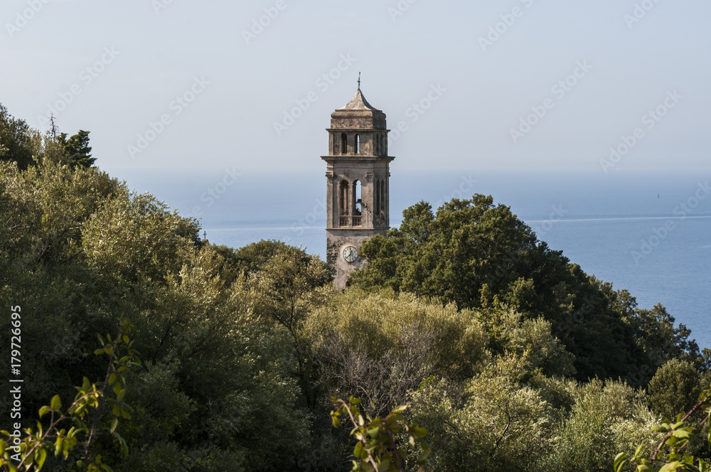 Corsica, 28/08/2017: la macchia mediterranea con vista del campanile della chiesa di Pino, villaggio dell'Alta Corsica sul versante occidentale del Capo Corso 