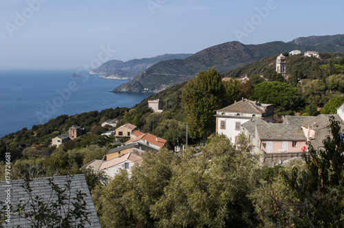Corsica, 28/08/2017: la macchia mediterranea con vista sullo skyline di Pino, villaggio dell'Alta Corsica sul versante occidentale del Capo Corso 