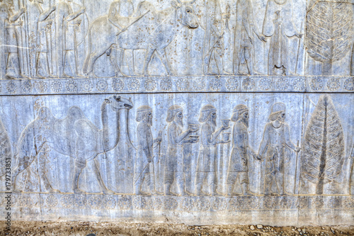 Relief of Syrians or Lydians, the Apadana, Persepolis, Iran. photo