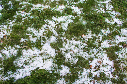 the first snow on the grass