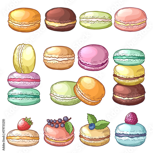 Colored illustrations of delicious macaroons