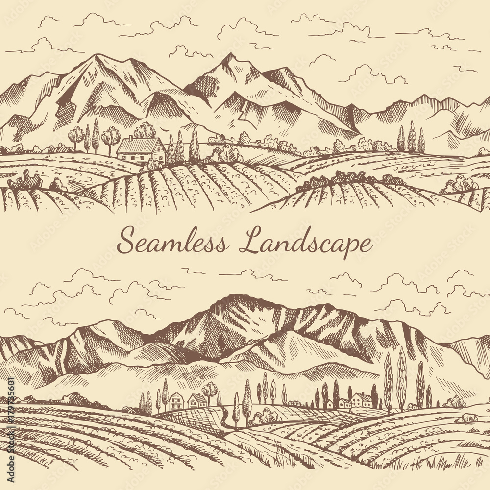 Seamless pictures of nature landscape. Vineyard or countryside illustrations