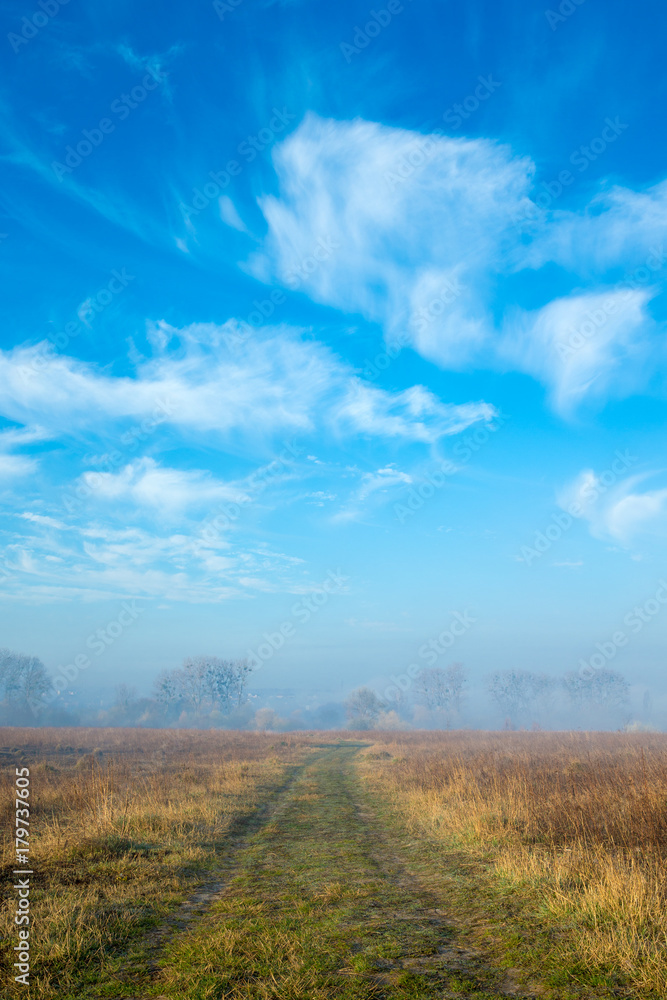 thick morning fog in the summer field thick morning fog in the summer field