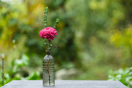 Fototapeta Naklejka Na Ścianę i Meble -  Pink aster and green eucalyptus in vase