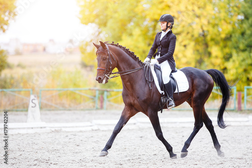 Equestrian sport event at fall with copy space. Young woman riding bay horse on dressage advanced test