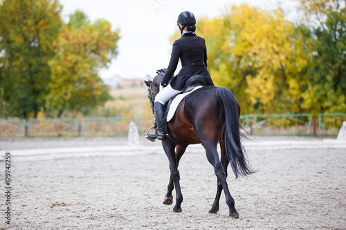 Young rider woman on bay horse performing advanced test on dressage competition. Rear view image of equestrian event background with copy space © skumer