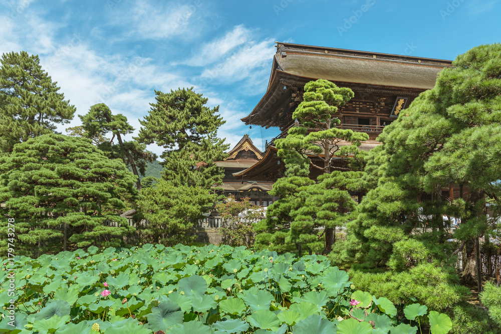 善光寺　蓮池と三門
