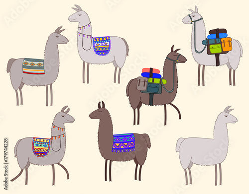 Set of llamas with patterned saddles, traditional decorative rugs and trekking packs in a hand drawn doodle style